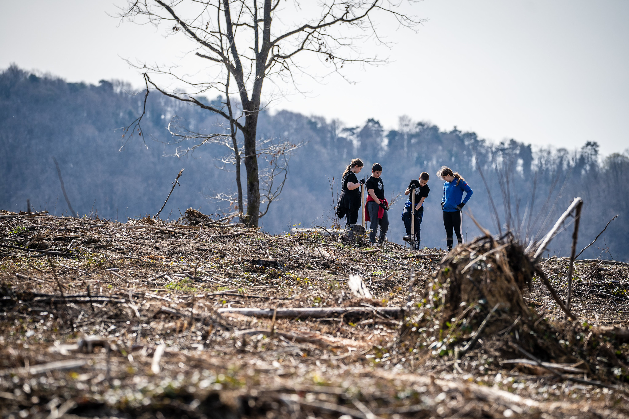 54400740079_8b7e275c93_k