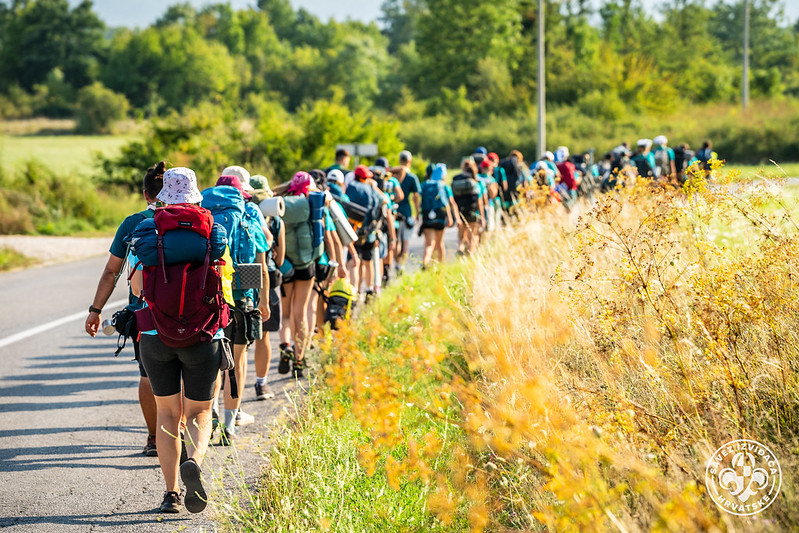 54733975559_9c784e1462_c