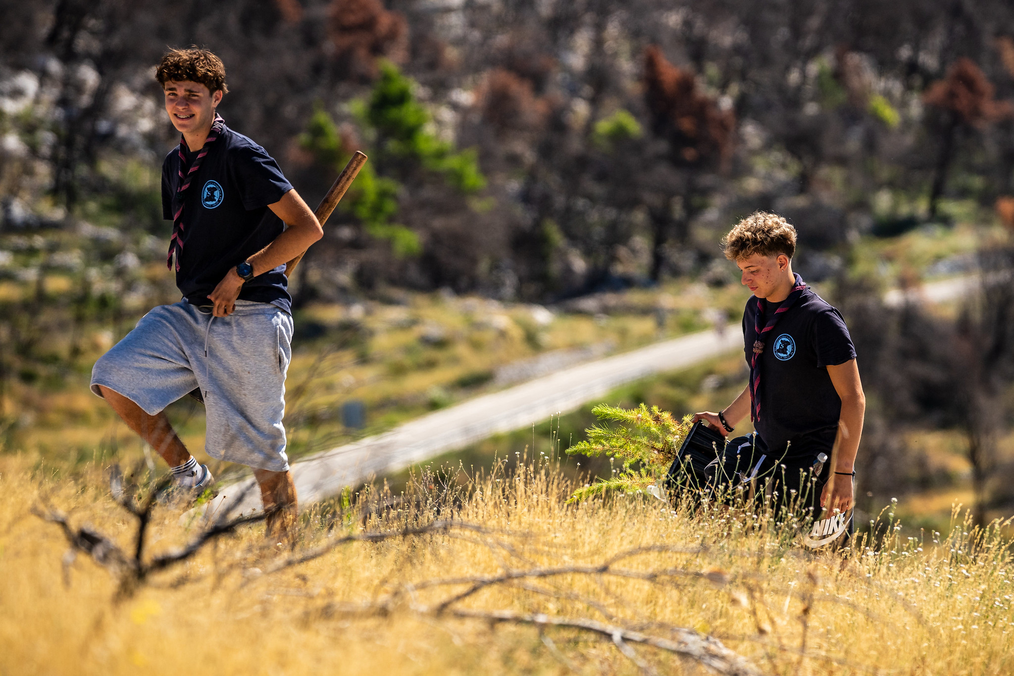 54800693874_8572ca9ac4_k