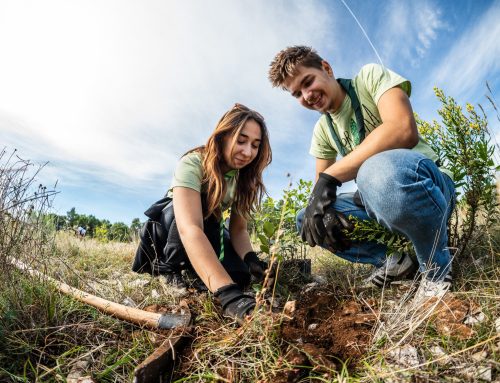 Završila je osma sezona Boranke