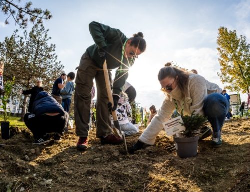 U Zaprešiću zasađena prva gradska CROŠNJICA!
