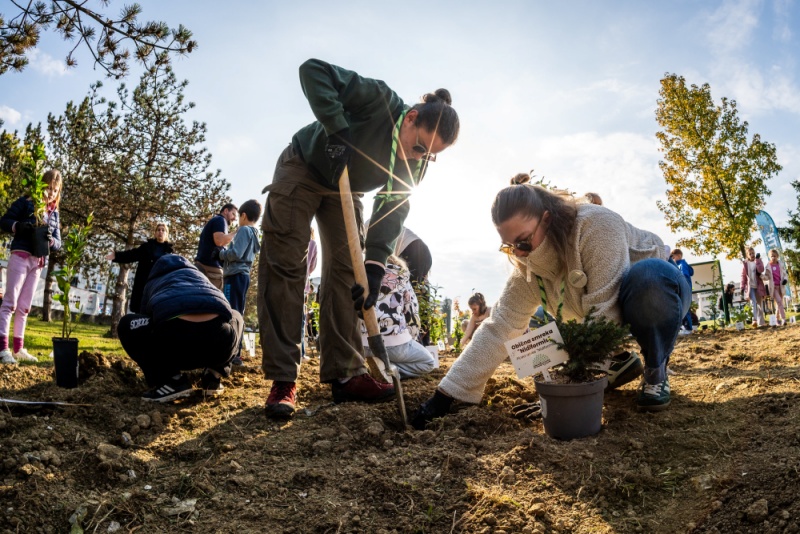 54860612596_5b8477f5ba_3k