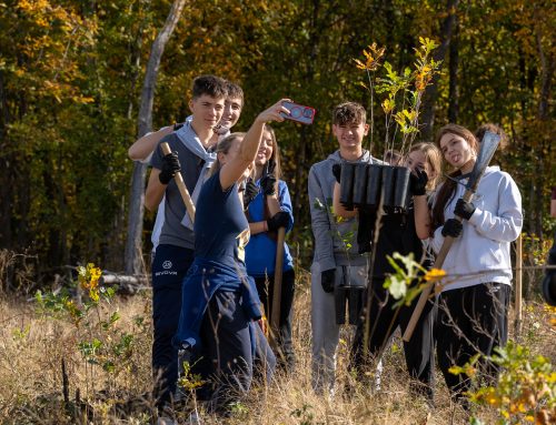 Održana 140. akcija pošumljavanja – CO2