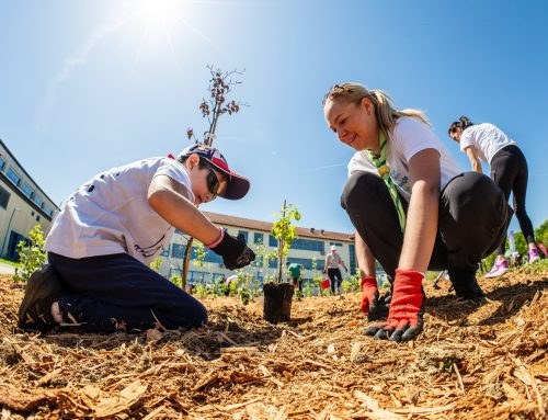 U Zaprešiću zasađena još jedna Crošnjica